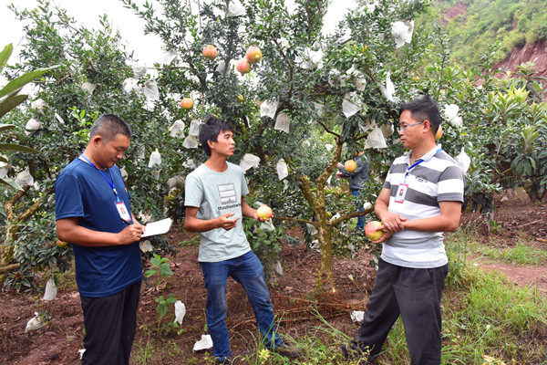 8_副本.jpg 8_副本.jpg