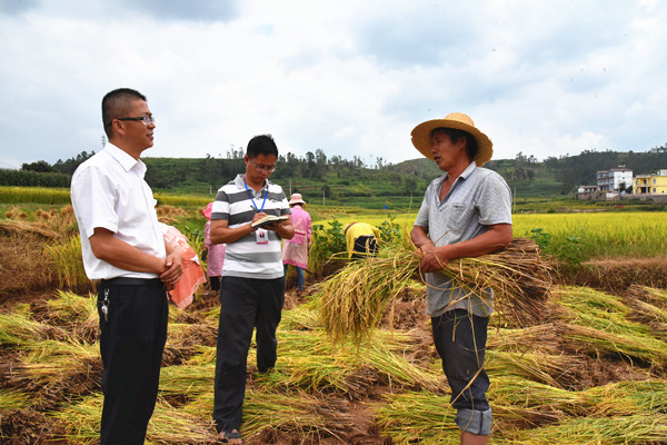 7_副本.jpg 7_副本.jpg