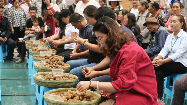 剝核桃大賽（李燦美 攝）_副本.jpg