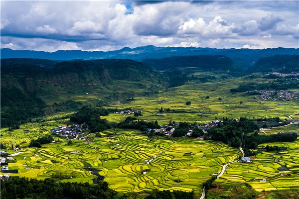 2.自古逢秋悲寂寥,我言秋日勝春朝。朱昌維 攝.jpg