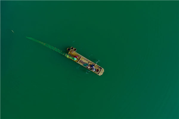 5.水真綠凈不可唾,魚若空行無所依.朱昌維 攝.jpg