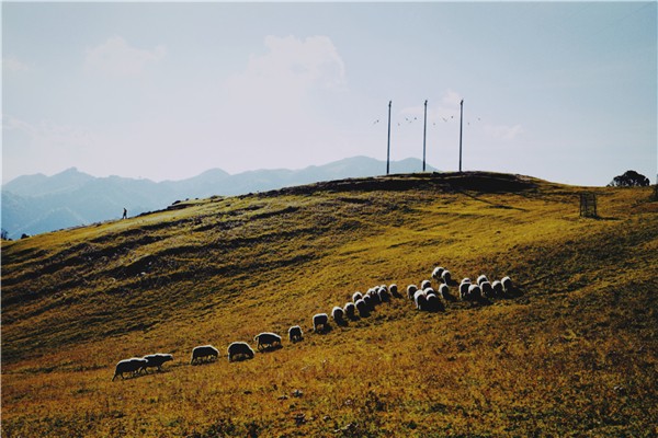 8.云邊雁斷胡天月，隴上羊歸塞草煙。郭凱 攝.jpg