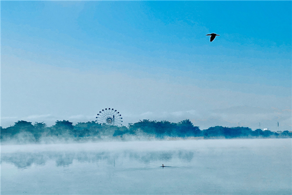 圖片1.jpg 圖片1.jpg