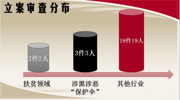 立案審查分布.png 立案審查分布.png