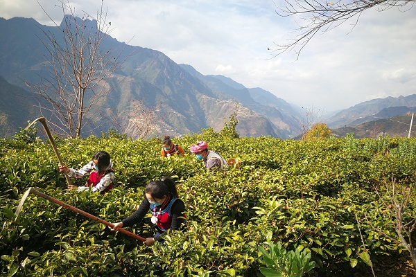 微信圖片_20200212084740.jpg 微信圖片_20200212084740.jpg