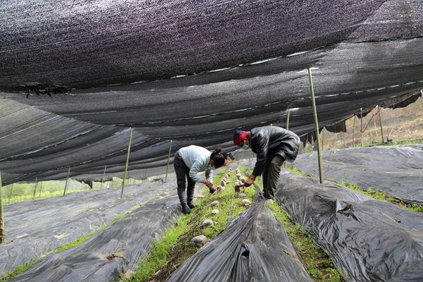 貢山1.jpg 貢山1.jpg