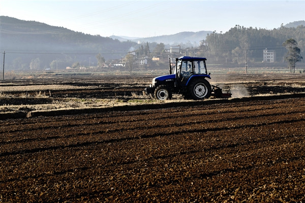 5.楊和森  攝.jpg