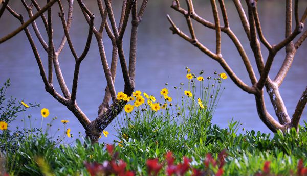 圖7(600).jpg 圖7(600).jpg