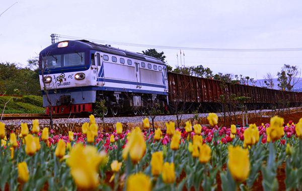 圖6(600).jpg 圖6(600).jpg