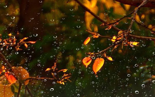 圖5(600).jpg 圖5(600).jpg