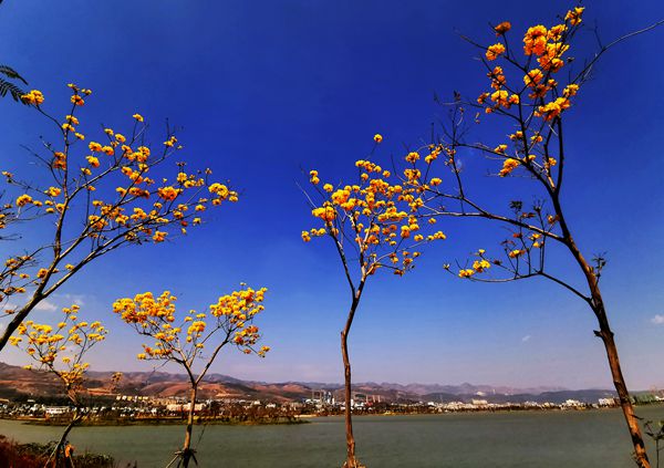 圖9(600).jpg 圖9(600).jpg