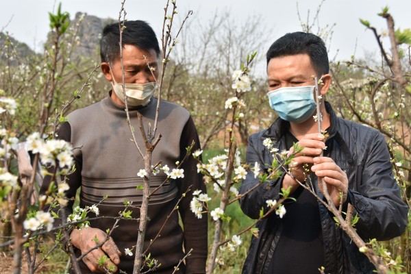 DSC_8662.jpg DSC_8662.jpg