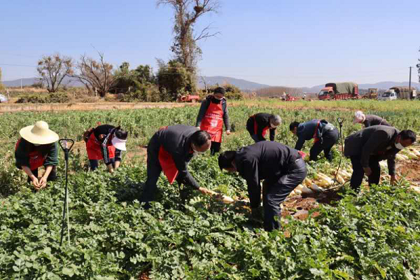 圖片1.png 圖片1.png