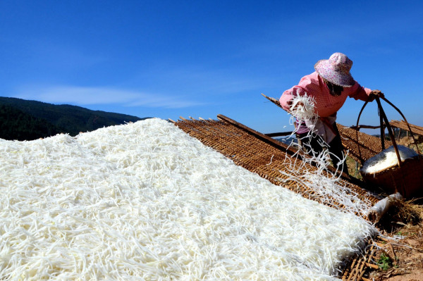 曬蘿卜絲 石屏農(nóng)科局徐文輝_副本.jpg