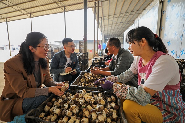 QQ圖片20200414084636.jpg QQ圖片20200414084636.jpg