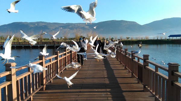 圖1：胡建偉  攝.jpg