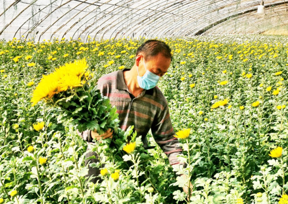 圖7:盧雪梅 攝.jpg