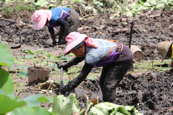 圖片2.png 圖片2.png