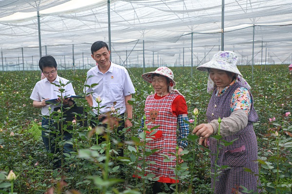 楚雄牟定.jpg 楚雄牟定.jpg