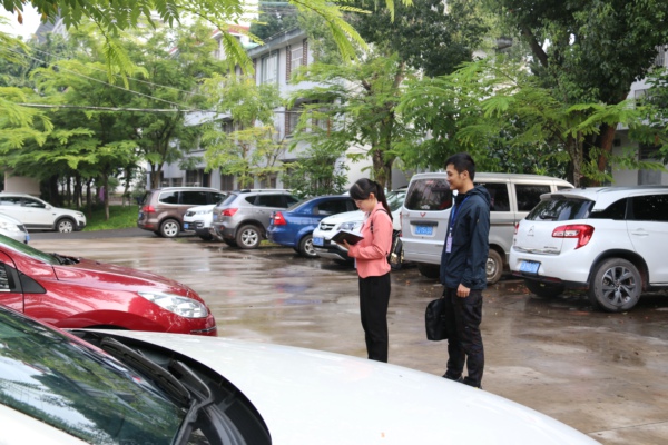 普洱.jpg 普洱.jpg