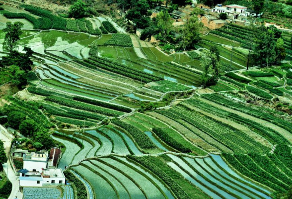 東川.jpg 東川.jpg