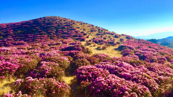 微信圖片_20200512164443.jpg 微信圖片_20200512164443.jpg