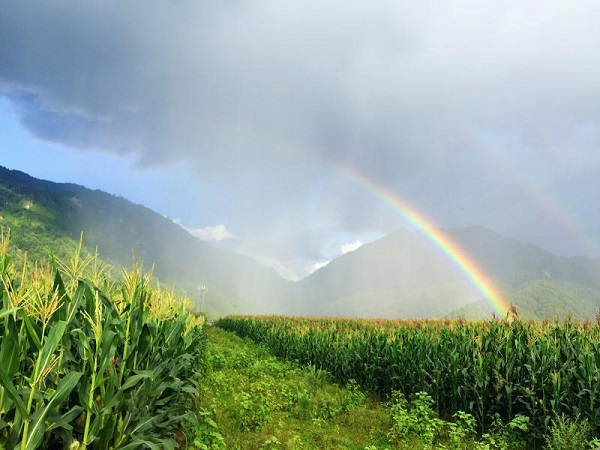 保山.jpg 保山.jpg