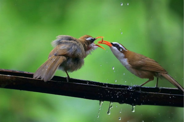 德宏芒市.jpg 德宏芒市.jpg