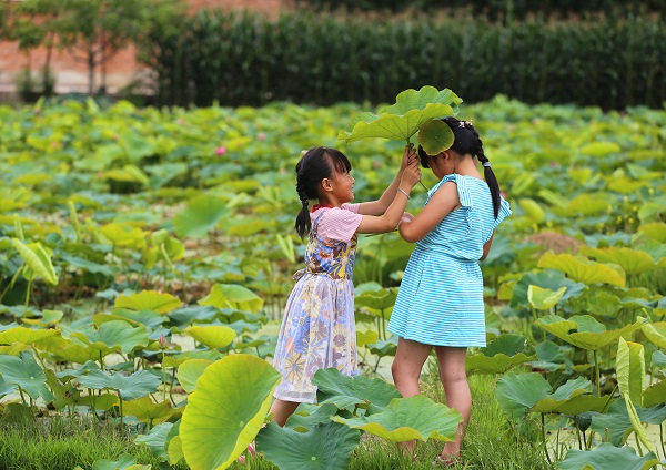 大理 (2).jpg 大理 (2).jpg