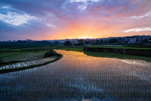 昭通鎮雄.jpg 昭通鎮雄.jpg