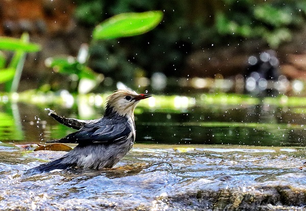 昆明安寧.jpg 昆明安寧.jpg