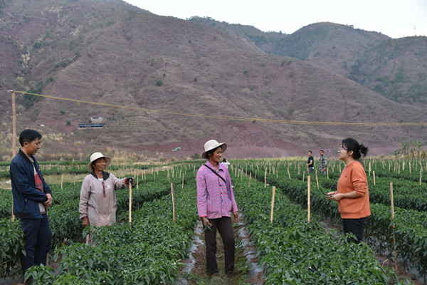 7_副本.jpg 7_副本.jpg