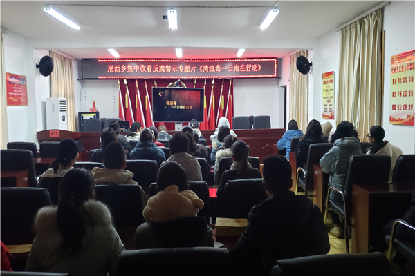 7香格里拉市尼西鄉組織黨員干部集中觀看《清流毒.云南在行動》.jpg