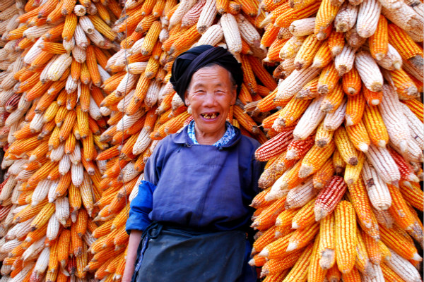 秋收冬藏  （600x400張志平 攝）.jpg