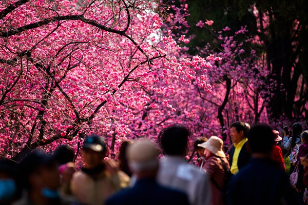 王嵐 (2)_副本.jpg