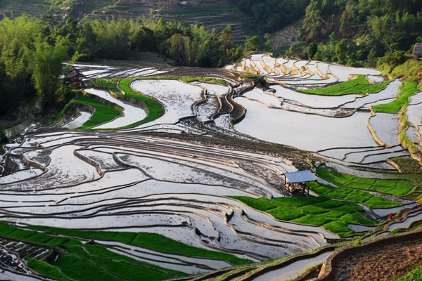 鏡頭 | 水秀山川 大美江東