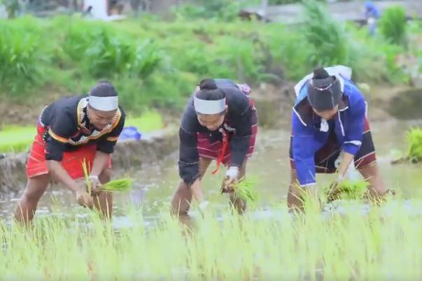 跟著共產黨 阿佤人民唱新歌