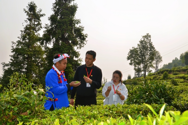 芒市：監督護航“舌尖上的非遺”